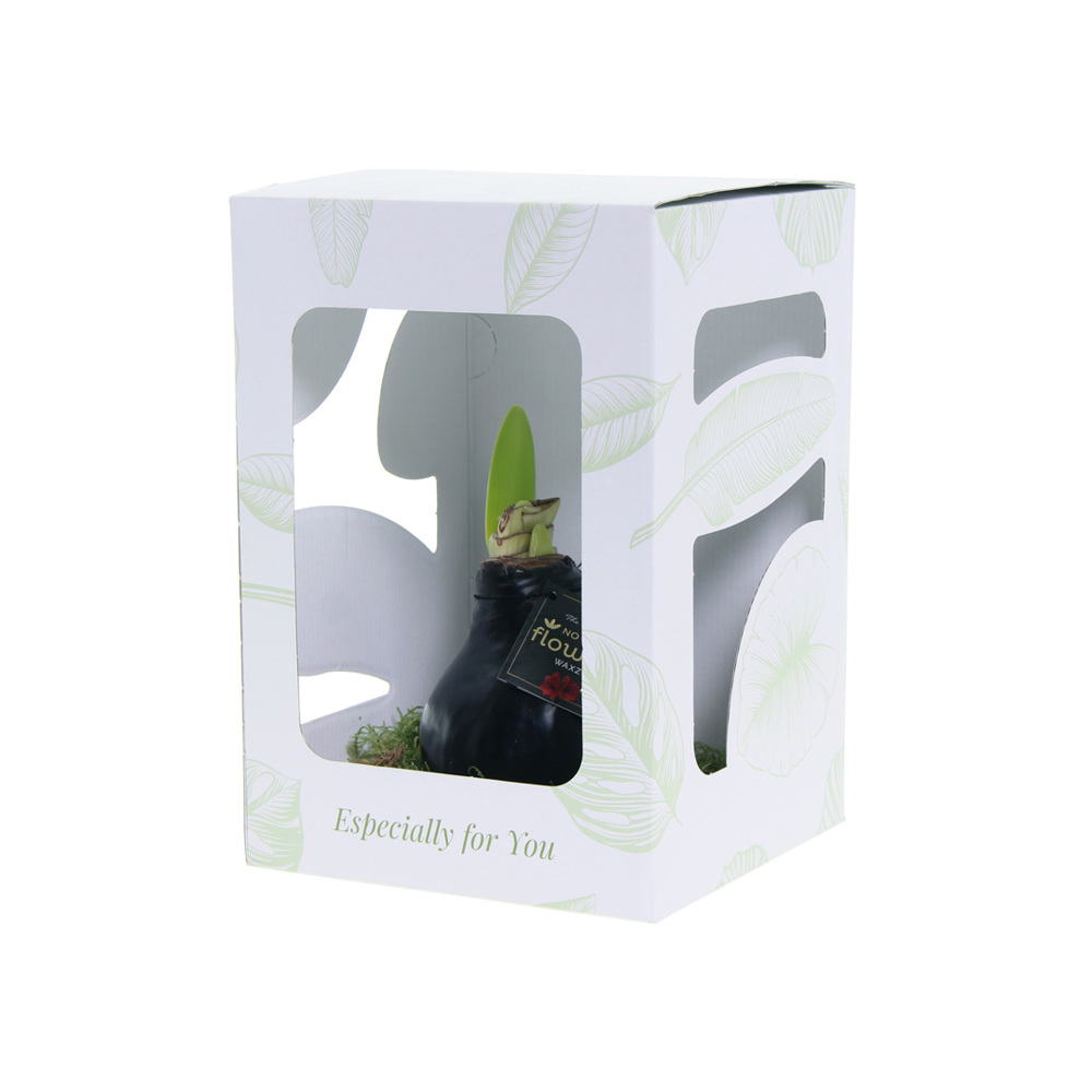 No Water Flowers® - Waxz® on golden dish, In Geschenkbox, Blau
