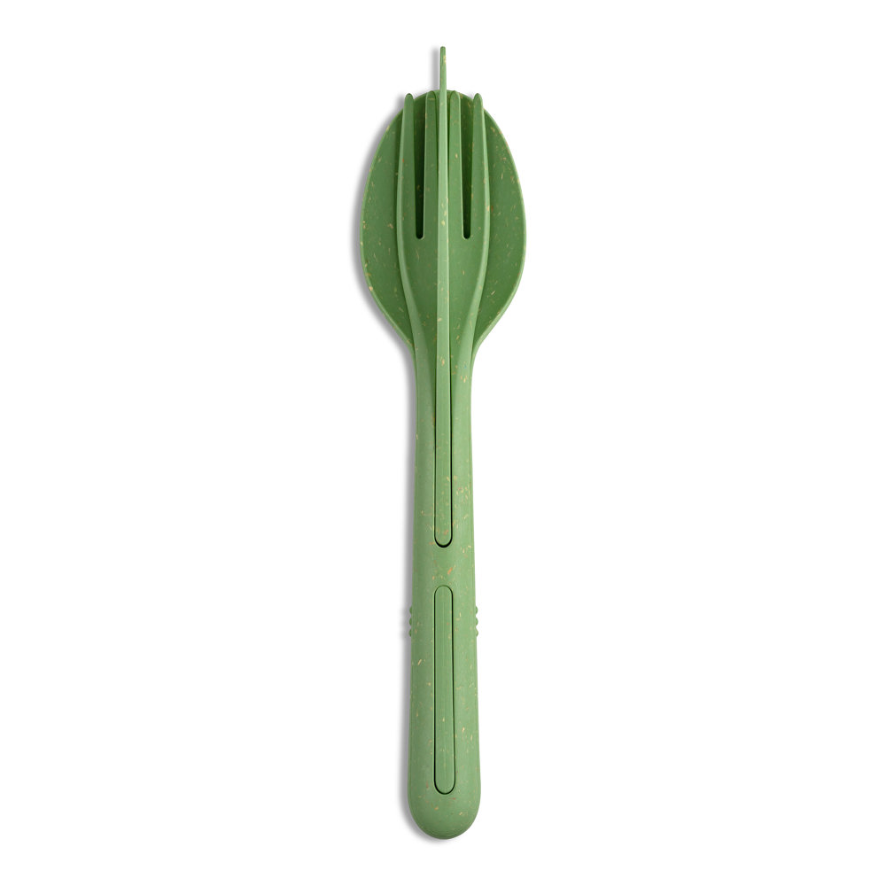 nature leaf green
