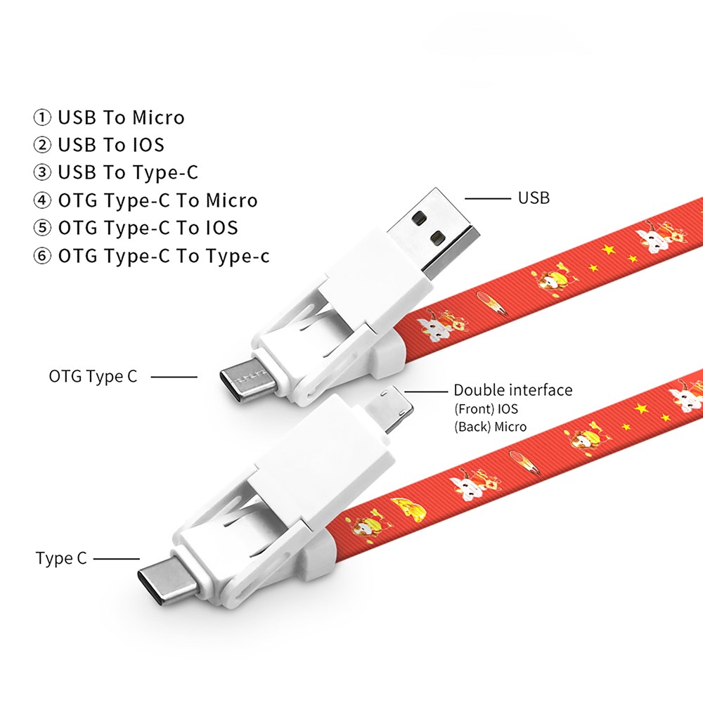 6 in 1 Lanyard-Ladekabel