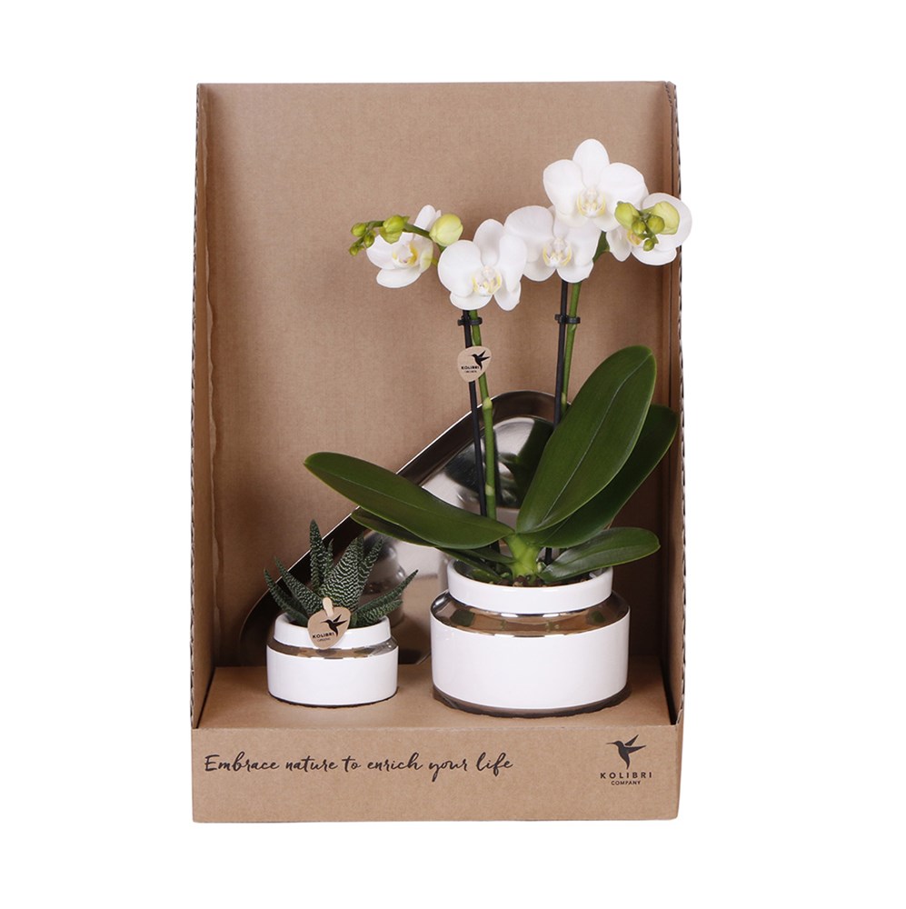 Botanical Giftset small - Luxury Silver